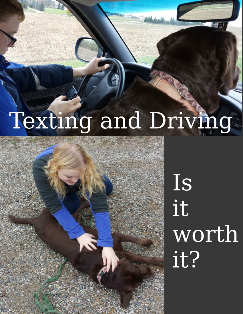Manchester High School student-led driving safety project